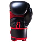 Muay Thai Kickboxing Gloves
