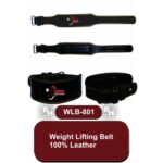 Weight Lifting Belt
