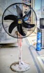 Fan