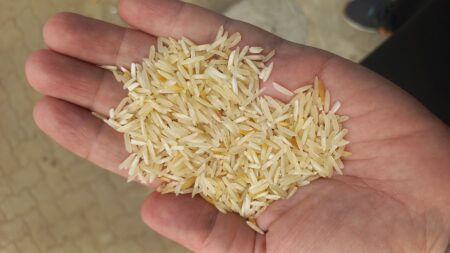 Dakhan rice 1121 (per kg)